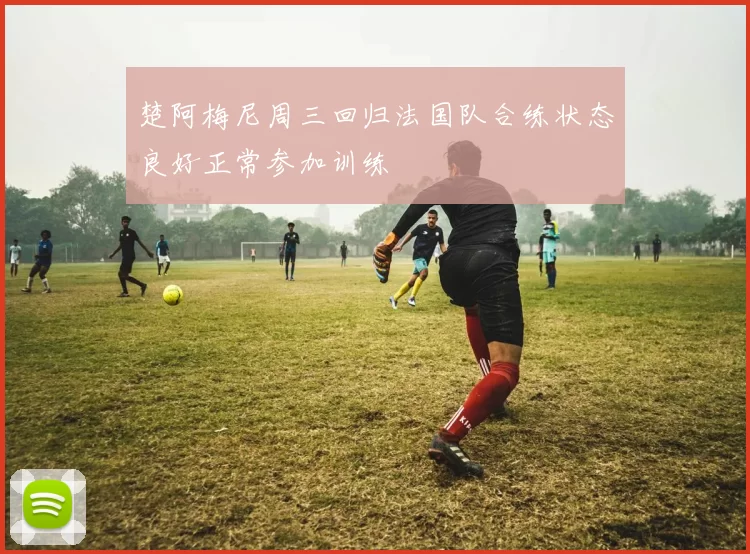 楚阿梅尼周三回归法国队合练状态良好正常参加训练