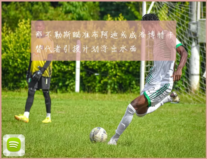 那不勒斯瞄准布阿迪或成洛博特卡替代者引援计划浮出水面